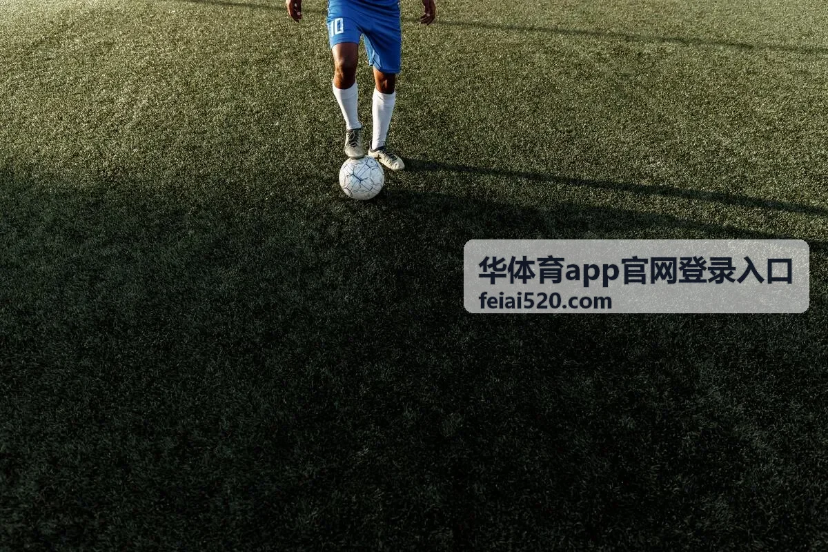 华体育app官网登录入口操作说明配图