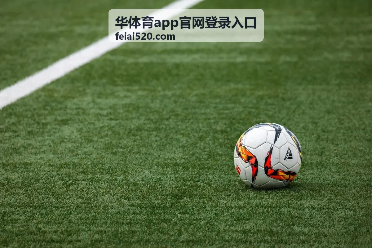 华体育app官网登录入口客户端下载与版本说明